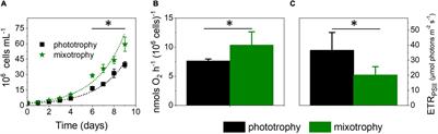 Consequences of Mixotrophy on Cell Energetic Metabolism in Microchloropsis gaditana Revealed by Genetic Engineering and Metabolic Approaches